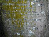 image of grave number 972856
